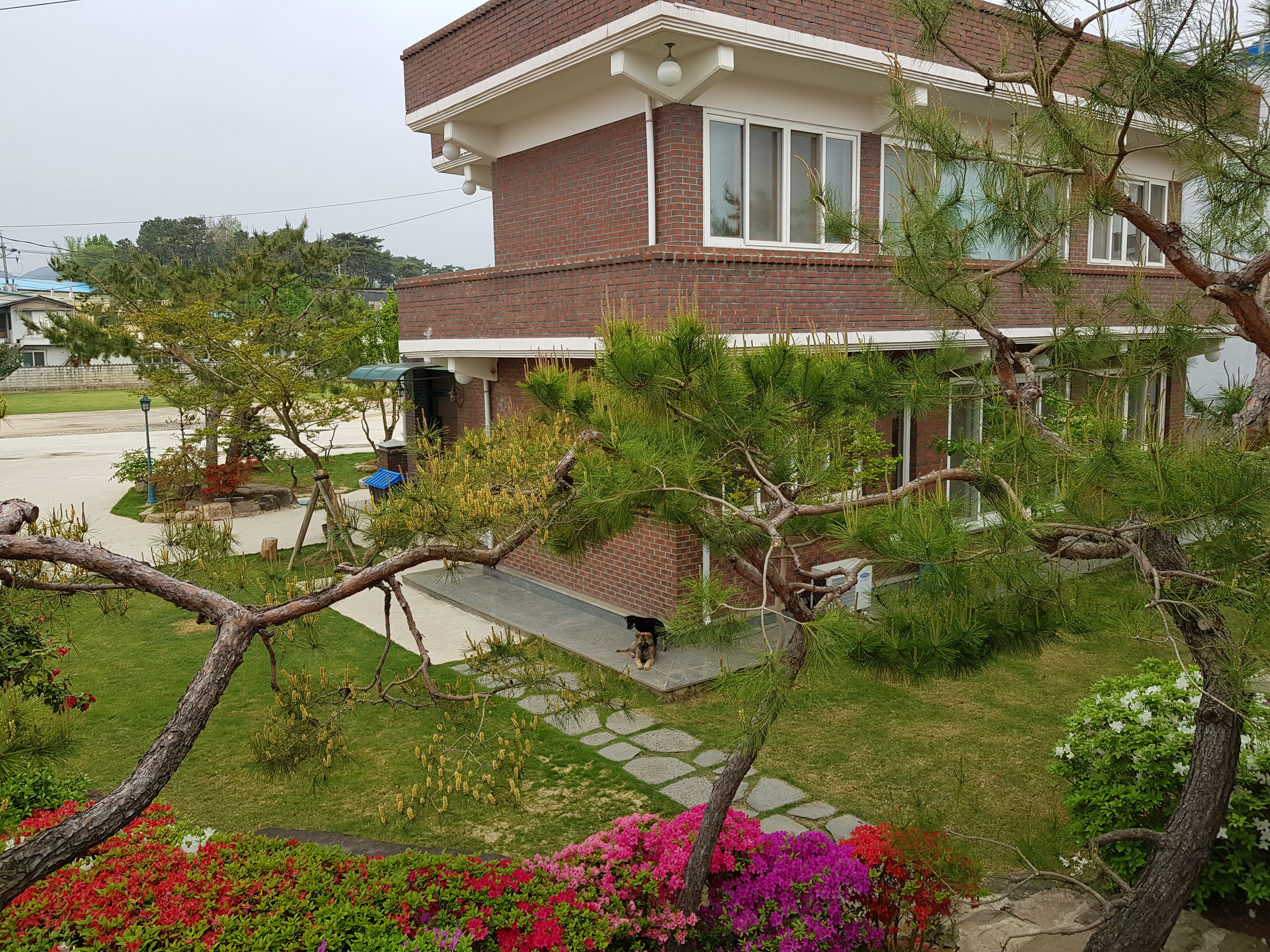 Gardening #1