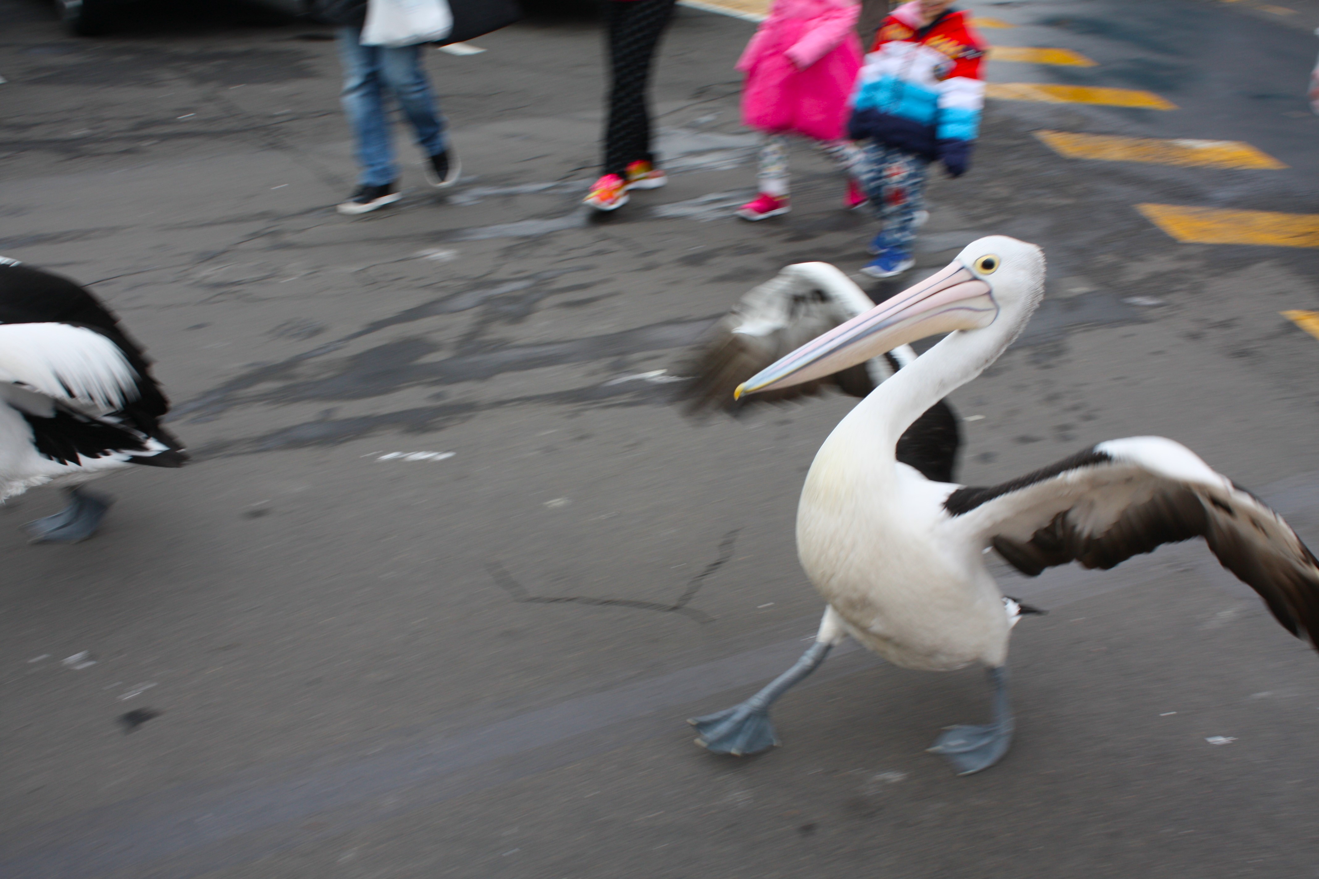 Sydney, Australia (2015)