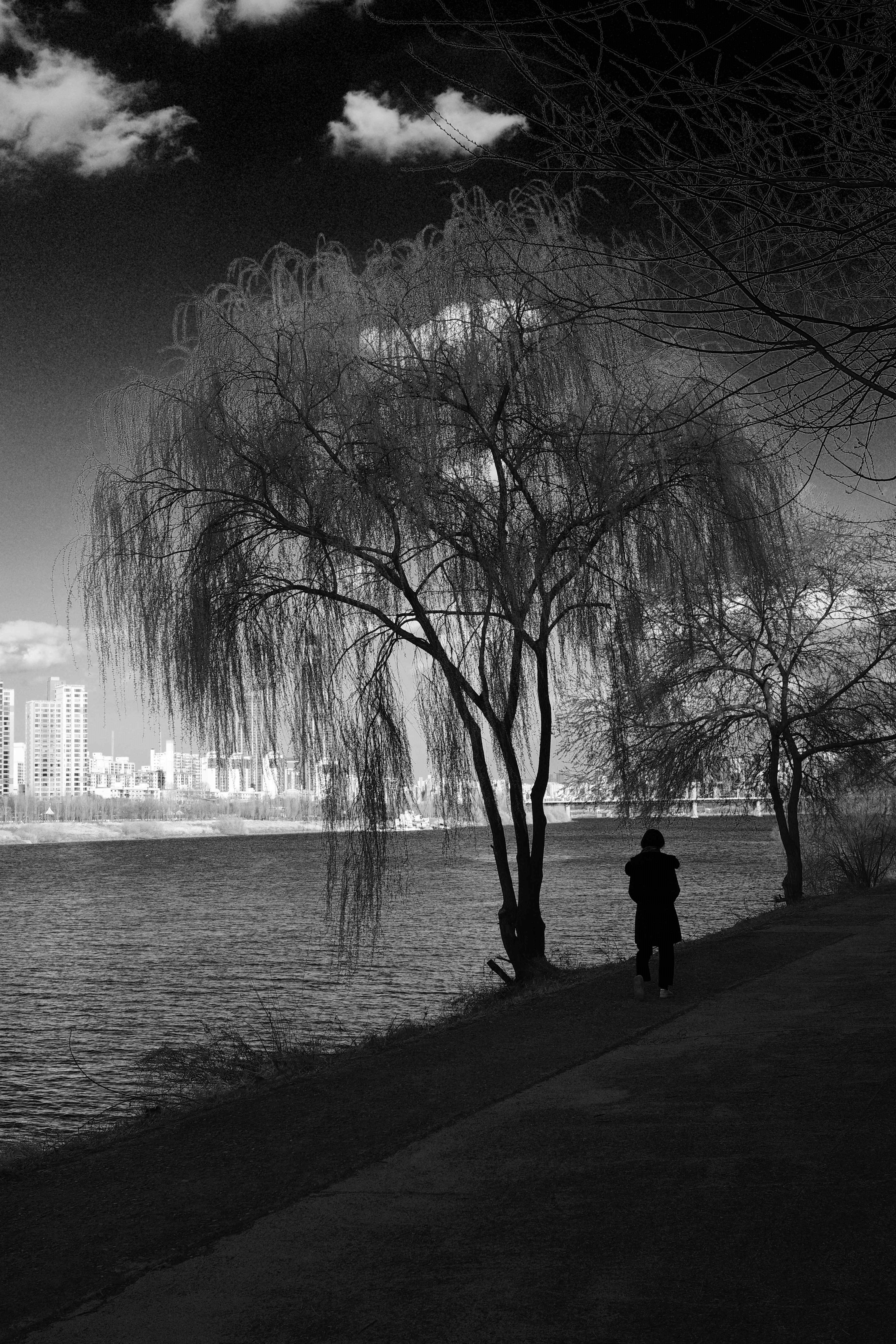 Nodeul Island, Seoul #2