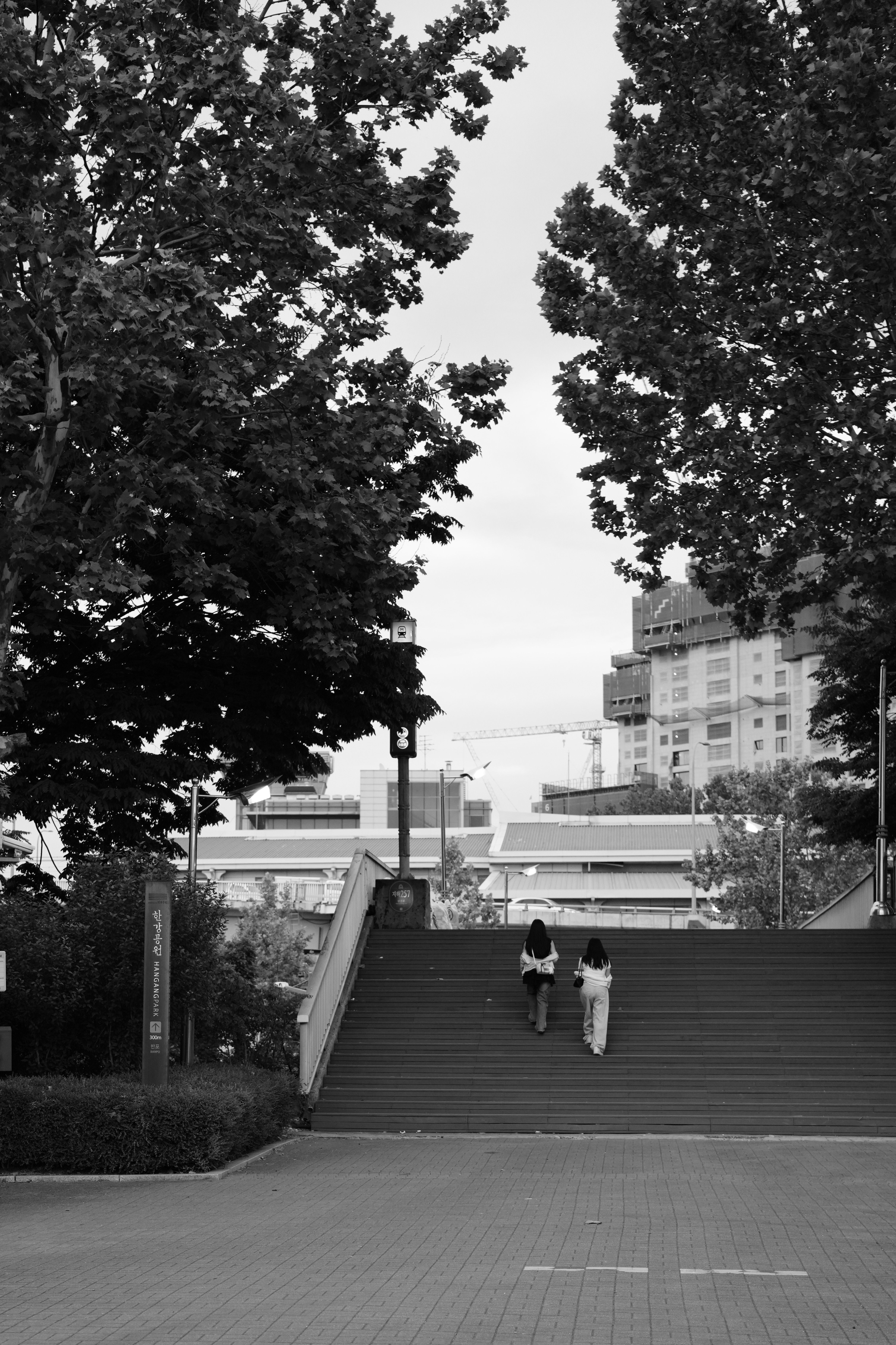 Banpocheon, Seoul #4