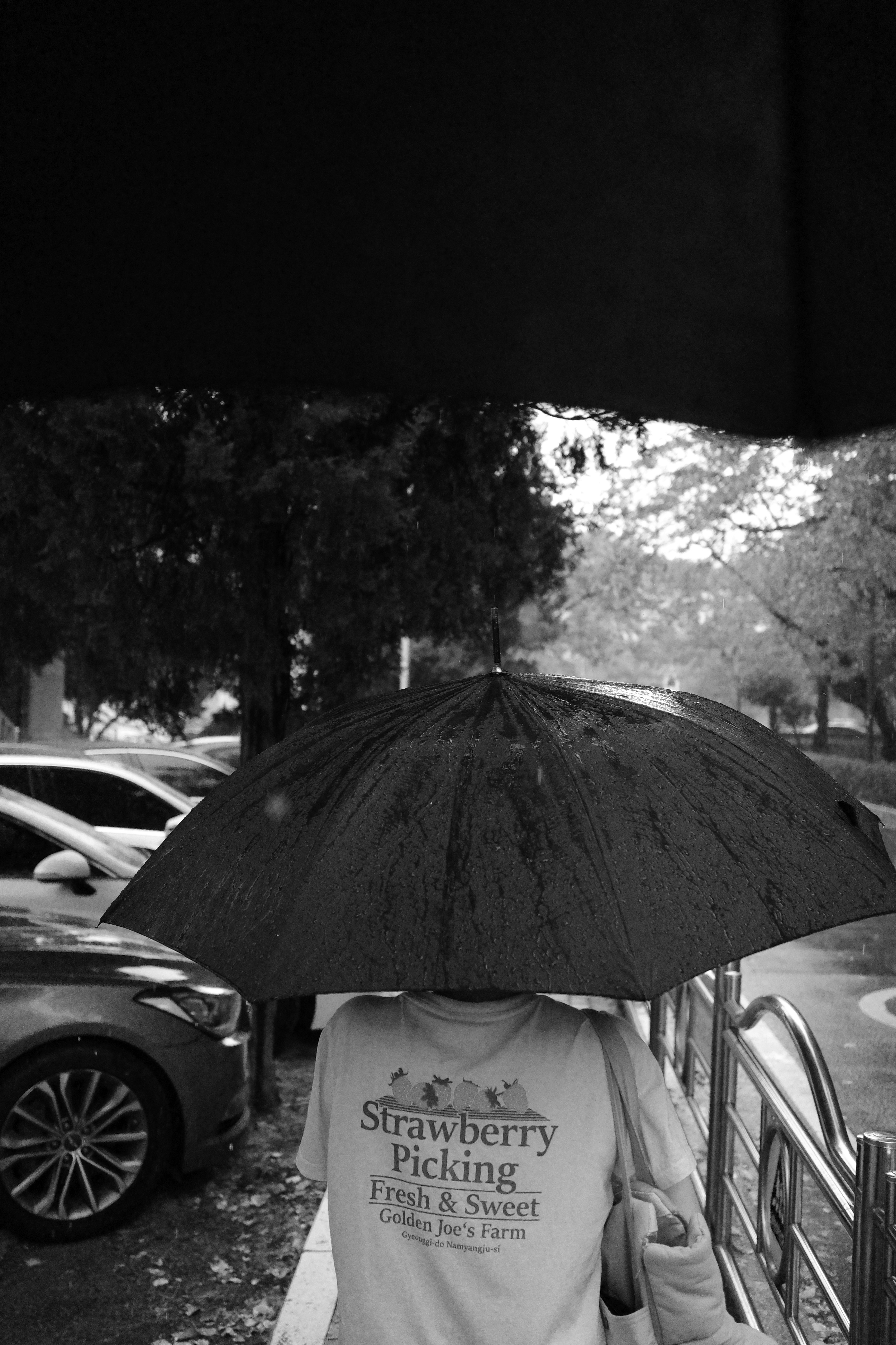 Rainy Day #3